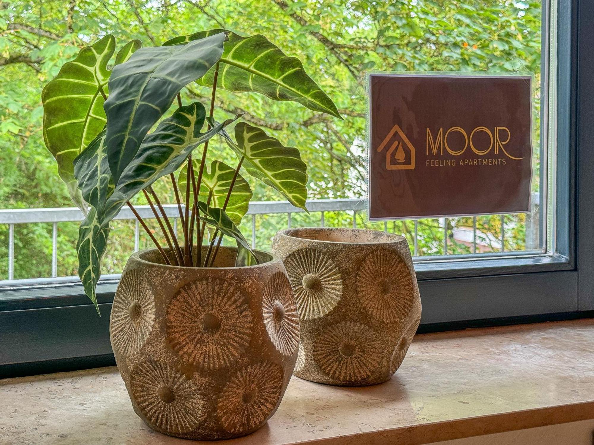 Moor Feeling Apartments Worpswede Exterior photo